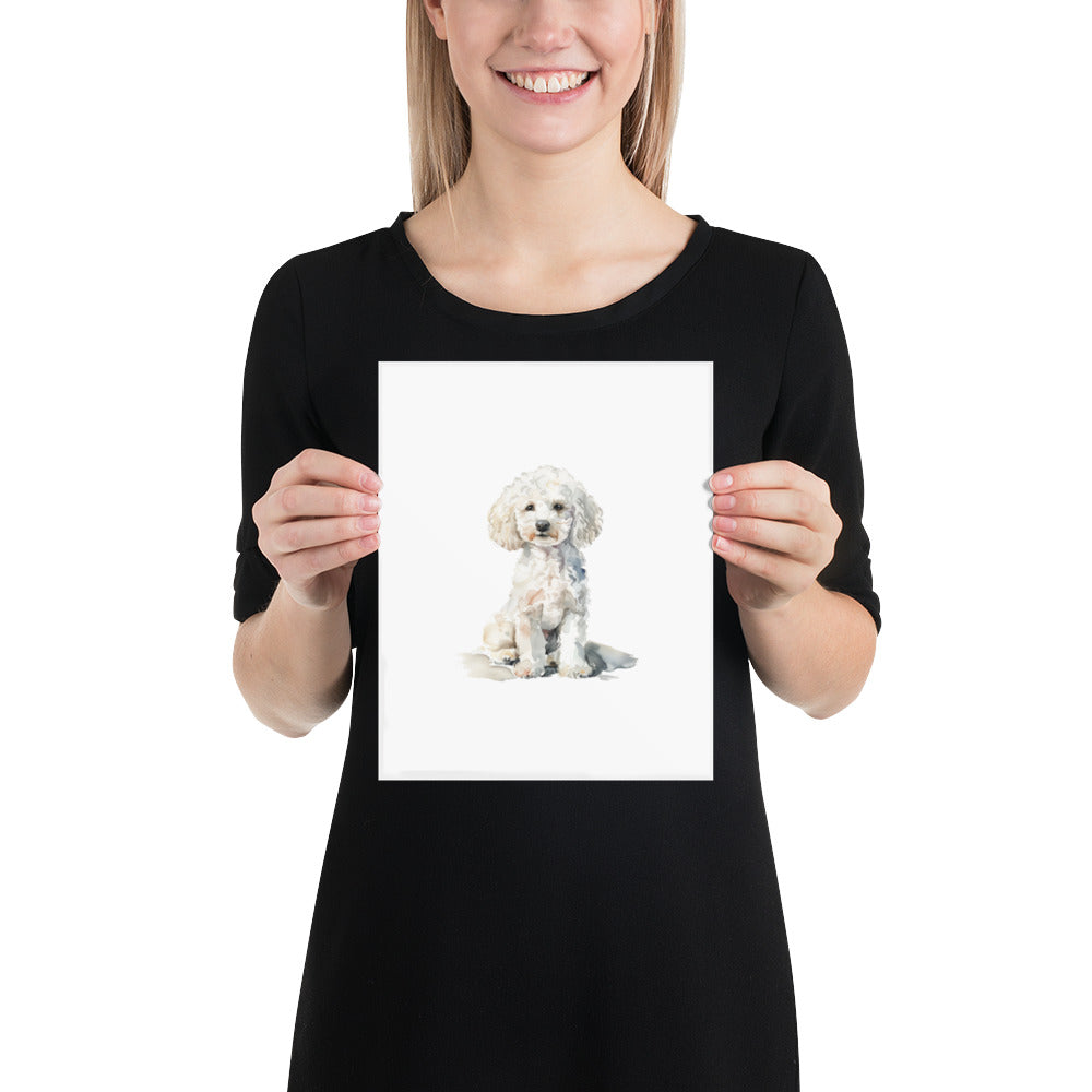 White Poodle Portrait Print