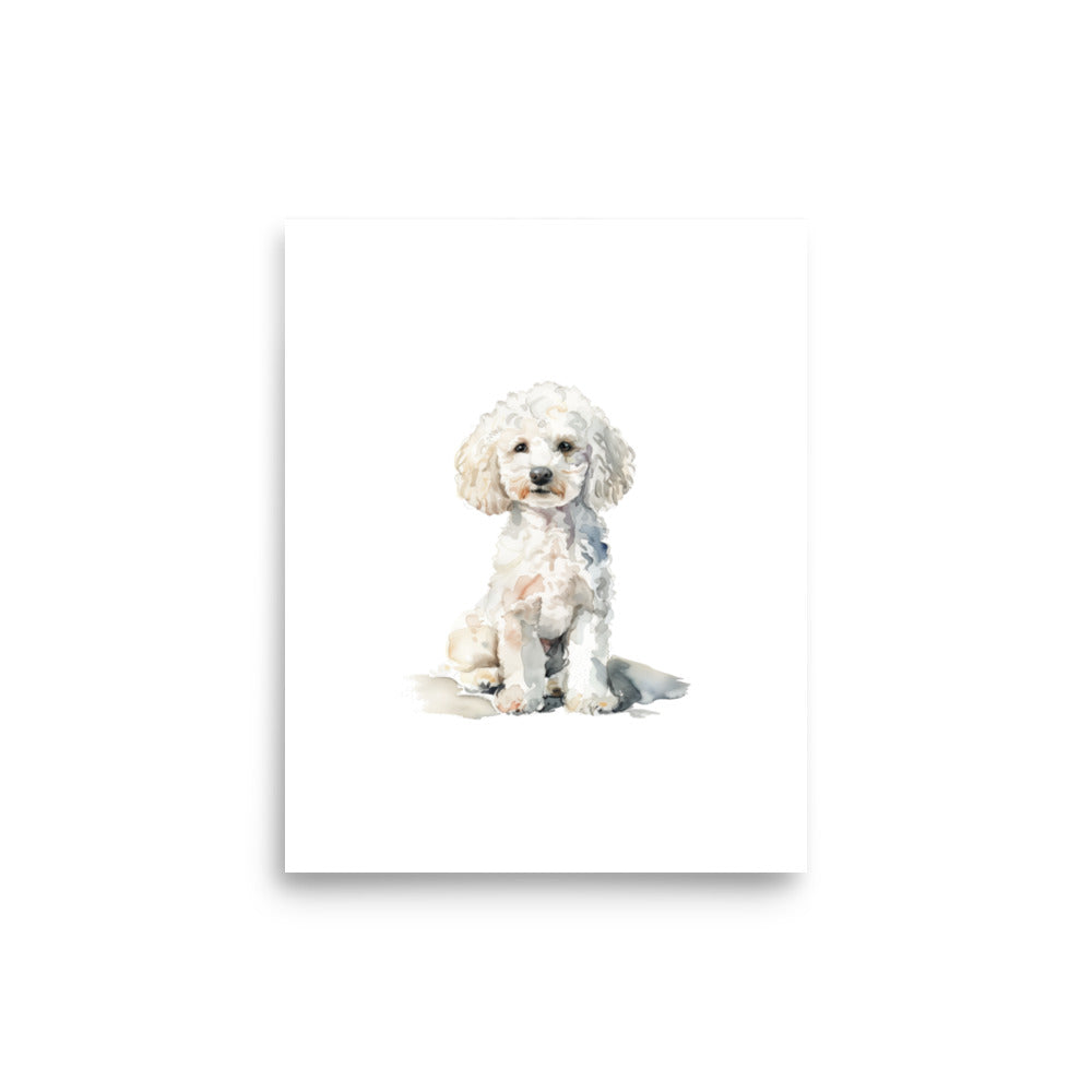 White Poodle Portrait Print